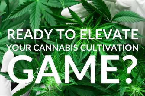 Dive into our comprehensive cannabis fertilizer tips & programs, and watch…