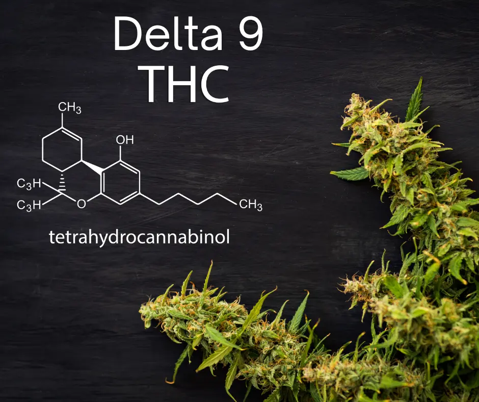 Why Does Delta 9 THC Have Specific Elements?