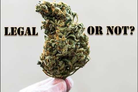 America Has a Billion Dollar THCA Dilemma - Is THCA De Facto Weed Legalization or a Farm Bill..