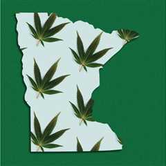 Cannabis Regulators in Minnesota Share Plan for Legalization Rollout