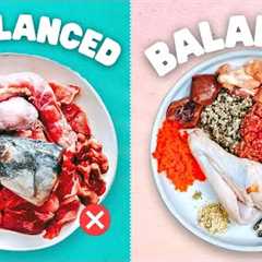 How To Balance Your Dog''s Raw Diet