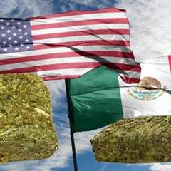 Mexican-Grown Pot Hits Record Low at Border as Competition with State-Legal Pot Rises