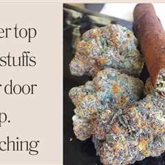 BUY TOP QUALITY  Coke cocaine weed shrooms edibles weed pills marijuana…