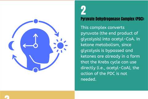 Unlock Your Brain’s Potential: 7 Ways the Keto Zone Elevates Cognitive Function and Mood