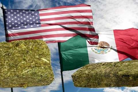 Mexican-Grown Pot Hits Record Low at Border as Competition with State-Legal Pot Rises