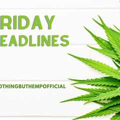Friday Headlines: St. Paul Bans Cannabis in Public Parks; MAC to Draft Marijuana Ordinance
