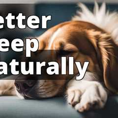 Discover the Power of CBD for Dogs Sleep Improvement Nearby: A Pet Parent’s Guide