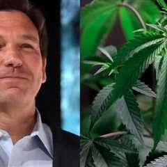 DeSantis Blasts Cannabis Legalization Amendment, Says People Will Be Able To Bring '20 Joints To An ..