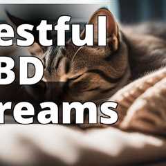 Discover CBD for Cats: A Natural Sleep Solution