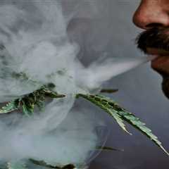 Is Secondhand Cannabis Smoke Harmful?