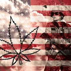 Cannabis and the Military - Is the US Preparing for War?