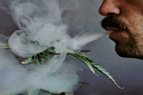 Is Secondhand Cannabis Smoke Harmful?