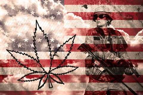 Cannabis and the Military - Is the US Preparing for War?