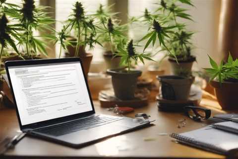 7 Tips for Buying Cannabis Seeds Online Legally in the USA