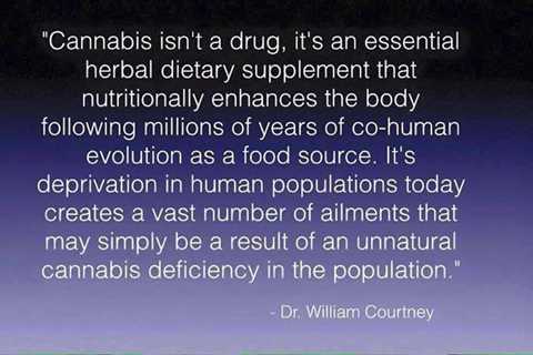 Preach!!! 🙏🌿 #cannabis #hemp #stonerfam https://t.co/y7Fdu9QAWt