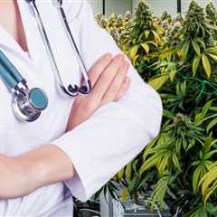 40% of Cancer Patients are Now Using Cannabis to Manage Symptoms? - The Growing Case for Cannabis..