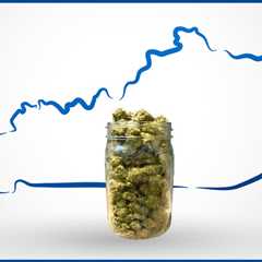 Medical Marijuana Passed in 106 out of 106 Counties and Cities in What State? A. Florida B...