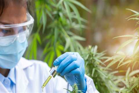 The Future of Medical Marijuana: Understanding its Interaction with Other Medications