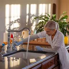 Home Care Services A Focus on Home Maintenance