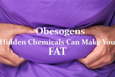Obesogens and Weight Gain: Understanding the Connection
