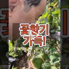 봄 꽃향기 가득! 일상이 재활! 인지재활은 바깥이 정답!