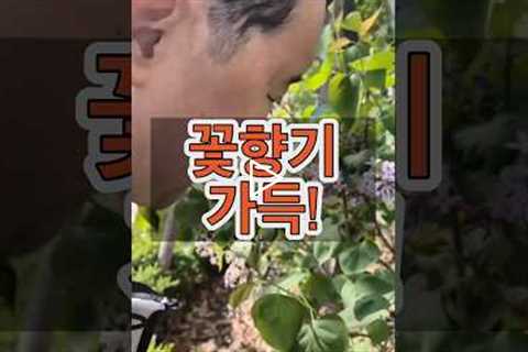 봄 꽃향기 가득! 일상이 재활! 인지재활은 바깥이 정답!