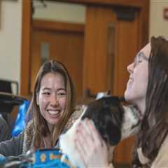 Exploring Mental Health Services in Hampden County, Massachusetts