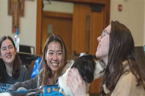 Exploring Mental Health Services in Hampden County, Massachusetts