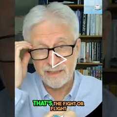 Cortisol's Impact: Adrenal Health & Stress Explained #shorts