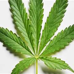 The Impact of Cannabis Legalization on Pasco, Washington: An Expert's Perspective