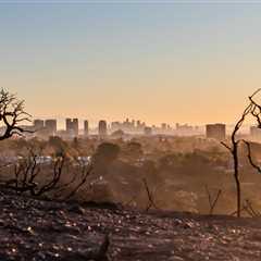Guarding Our Health: Shielding Skin and Hair from Wildfire Havoc