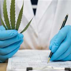 The Risks of Cannabis Use: An Expert's Perspective on Educating the Public in Pasco, Washington