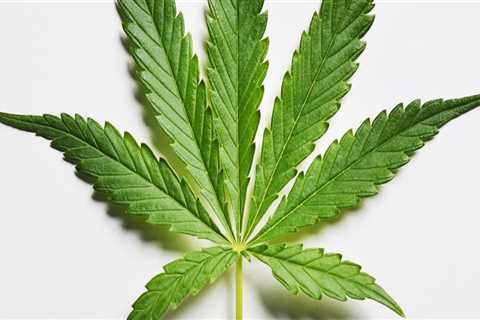 The Impact of Cannabis Legalization on Pasco, Washington: An Expert's Perspective