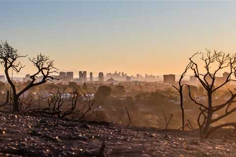 Guarding Our Health: Shielding Skin and Hair from Wildfire Havoc