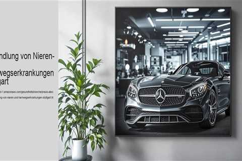 Behandlung von Nieren- und Harnwegserkrankungen Stuttgart