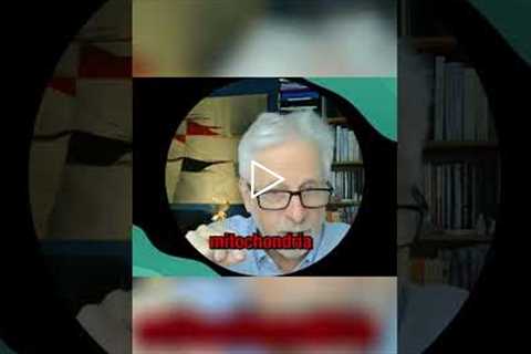 Fibromyalgia: How Mitochondria Fuels Your Body's Repair! #shorts