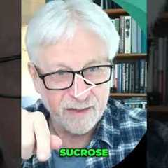 High-Fructose Corn Syrup: Liver Health Risks #shorts