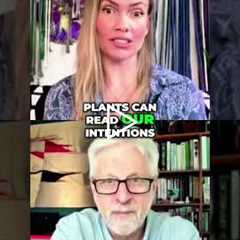 Mind-Blowing Rice & Plant Experiments Prove Your Intentions Matter! #shorts