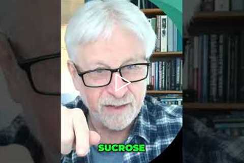 High-Fructose Corn Syrup: Liver Health Risks #shorts