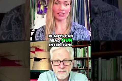 Mind-Blowing Rice & Plant Experiments Prove Your Intentions Matter! #shorts